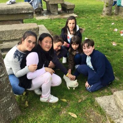 13087290 1724823264398122 2473198365499088426 N