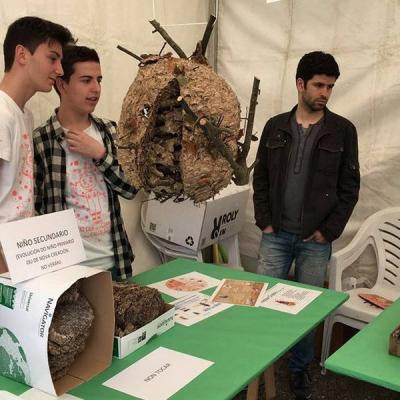 13164362 10207609808295673 7816716907072924995 N