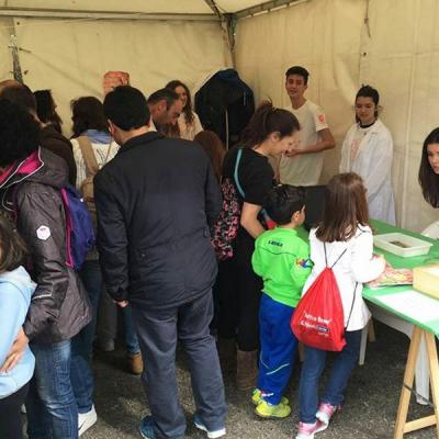 13177639 10207609805575605 3866448829949786861 N