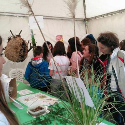 13178581 10207609809895713 3262314388461869194 N