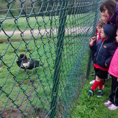 Img 20160513 115228055