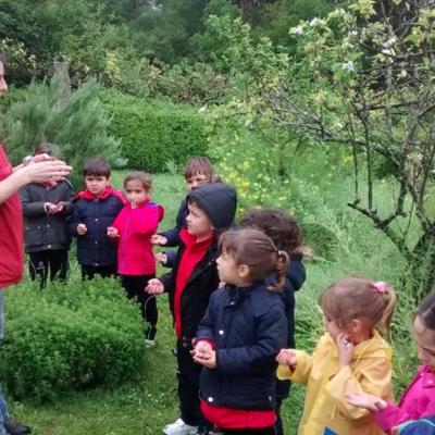 Img 20160513 115331868