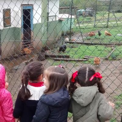 Img 20160513 120157262