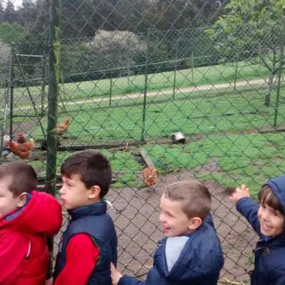 Img 20160513 120303769