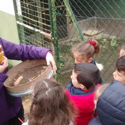 Img 20160513 120515031