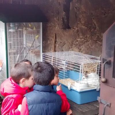 Img 20160513 121841232