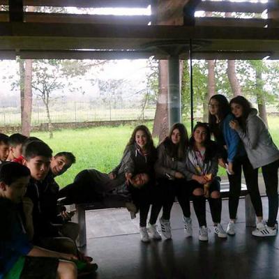 13332815 1736618606551921 5083897005418333030 N