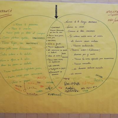 Thumbnail Img 20191120 102023