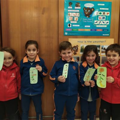 Thumbnail Img 20191121 164303