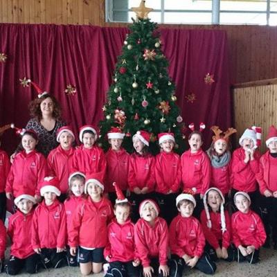 10884398 10205264511587983 678115680 N