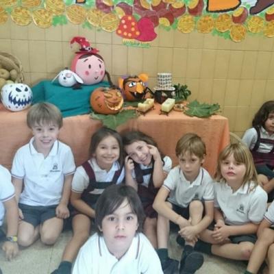 6c Foto 2 Copiar Copiar