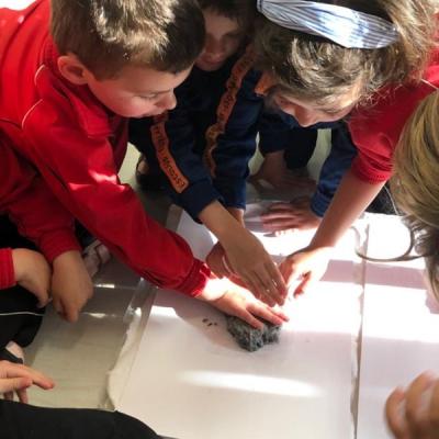 55359633cf3a4991bf40030830279e71