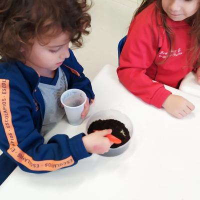 E39c1c60487c4dc78781d9e284c6c7bd