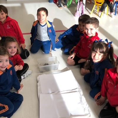 Pp2f8a8ed4680e475d9a17ebdad10ce1e6